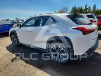 2021 Lexus UX250 фото