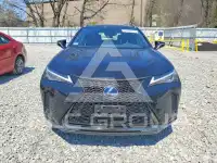 2021 Lexus UX250 фото