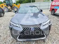 2021 Lexus Other фото