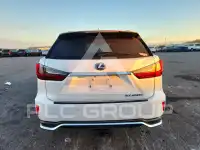 2021 Lexus RX фото