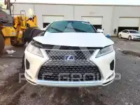 2021 Lexus RX фото
