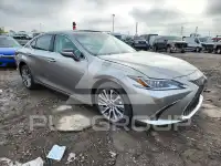 2021 Lexus ES250 фото