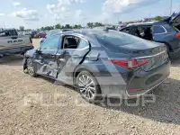 2021 Lexus ES250 photo
