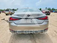 2021 Lexus ES250 photo