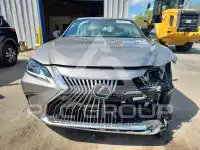 2021 Lexus ES250 фото