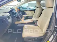 2021 Lexus RX350 photo