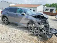 2021 Lexus RX350 photo
