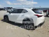 2021 Lexus UX200 фото