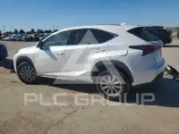2021 Lexus NX фото