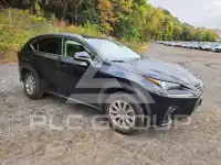 2021 Lexus NX photo