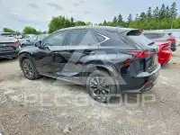 2021 Lexus NX photo