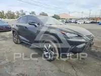 2021 Lexus NX фото