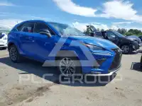 2021 Lexus NX фото