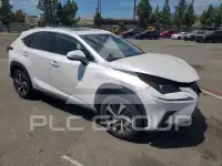 2021 Lexus NX фото