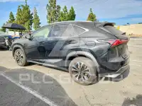 2021 Lexus NX photo