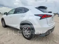 2021 Lexus NX photo