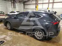 2021 Lexus NX фото