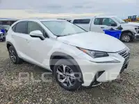 2021 Lexus NX фото