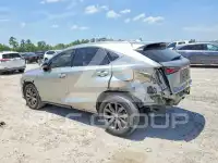 2021 Lexus NX фото