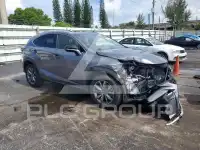 2021 Lexus NX300 фото