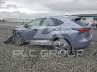 2021 Lexus NX фото