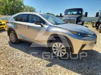 2021 Lexus NX фото