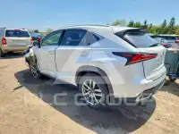 2021 Lexus NX фото