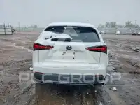 2021 Lexus NX фото