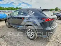 2021 Lexus NX фото