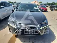 2021 Lexus NX photo