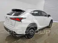 2021 Lexus NX photo