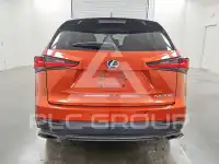 2021 Lexus NX фото