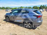 2021 Lexus NX фото