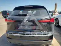2021 Lexus NX photo