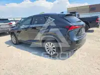 2021 Lexus NX photo
