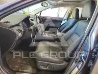 2021 Lexus NX фото