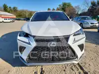 2021 Lexus NX фото