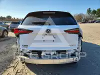 2021 Lexus NX фото