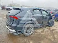 2021 Lexus NX фото