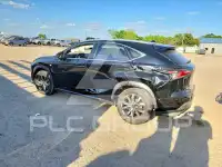 2021 Lexus NX фото