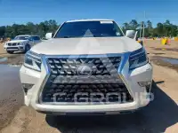 2021 Lexus GX photo