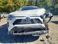 2021 Toyota RAV4 фото