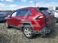 2021 Toyota RAV4 photo