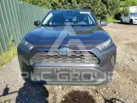 2021 Toyota RAV4 фото