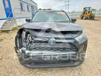 2021 Toyota RAV4 фото