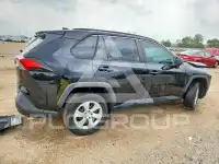 2021 Toyota RAV4 photo