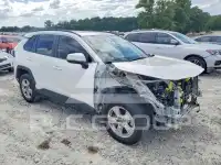 2021 Toyota RAV4 photo