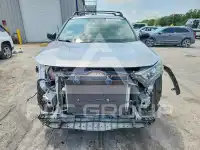 2021 Toyota RAV4 фото