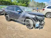 2021 Toyota RAV4 фото