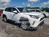 2021 Toyota RAV4 фото
